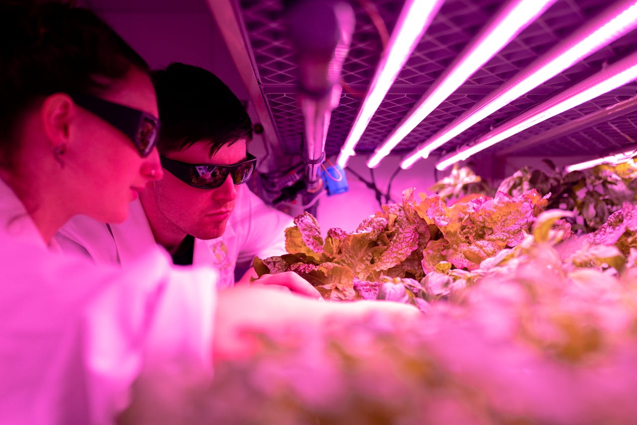 MKB'ers werken samen aan innovatief project