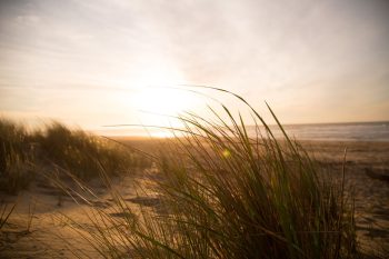 Duinen, opkomende zon en frisse wind