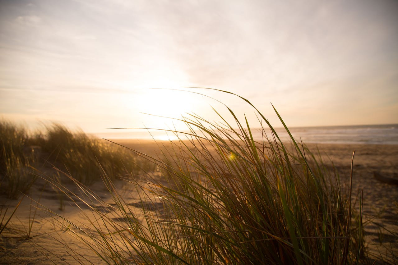 Duinen, opkomende zon en frisse wind