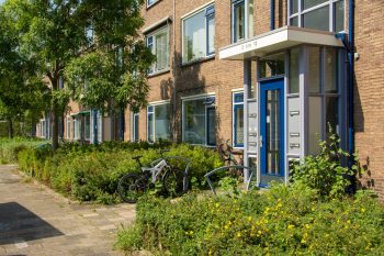 Willekeurige huizen in Nederlandse stad
