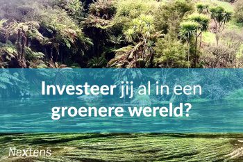 Plaatje van inheems bos in Nieuw Zeeland met de tekst: Investeer jij al in een groere wereld?